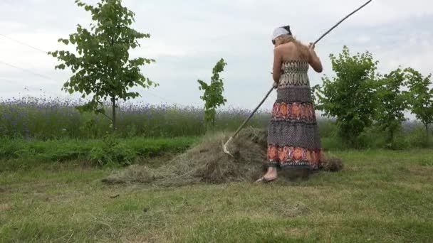 女人耙干草一整天，累了在稻草堆里付出上百元。4 k — 图库视频影像
