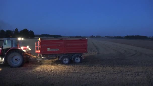 Tractor with trailer with lights drive on field stubble. Combine harvesting wheat. 4K — Stock Video