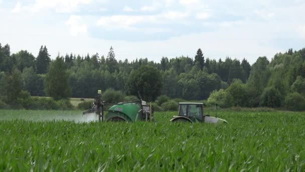 Фермер работает с тракторным разбрызгивателем на зеленом кукурузном поле. 4K — стоковое видео