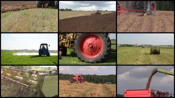 Trattore aratro campo di spruzzi, tagliare erba grano raccolto. Collage video — Video Stock