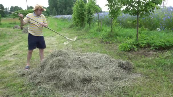 Grasa granjero hombre rastrillo hierba seca heno. 4K — Vídeo de stock