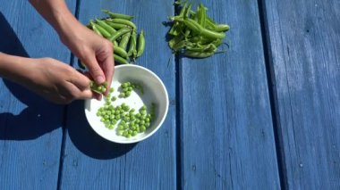 dövme taze bezelye bulaşık mavi ahşap arka plan dışarı ver. 4k