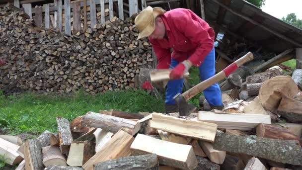 Werknemer verzamelen aan de armen gehakte brandhout in land werf. 4k — Stockvideo