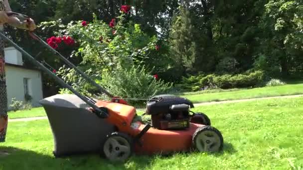 Mulher jardineiro em vestido manchado empurrar cortador de grama cortar grama prado. 4K — Vídeo de Stock