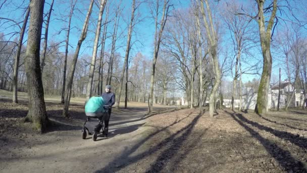 父亲人推蓝色婴儿车在春天公园树胡同。4 k — 图库视频影像
