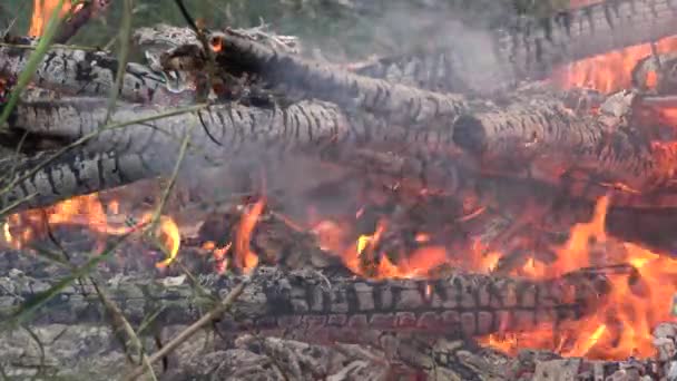 Ravvicinare ramo di salmerino bruciare masso in falò all'aperto. 4K — Video Stock