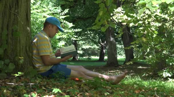 O homem passou o seu tempo de férias lendo livro de romance debaixo da velha árvore no parque. 4K — Vídeo de Stock