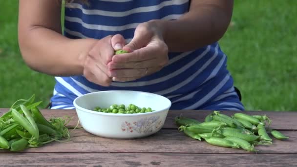 Veganské žena ruce pod shell lusku hrách na dřevěný stůl. 4k — Stock video