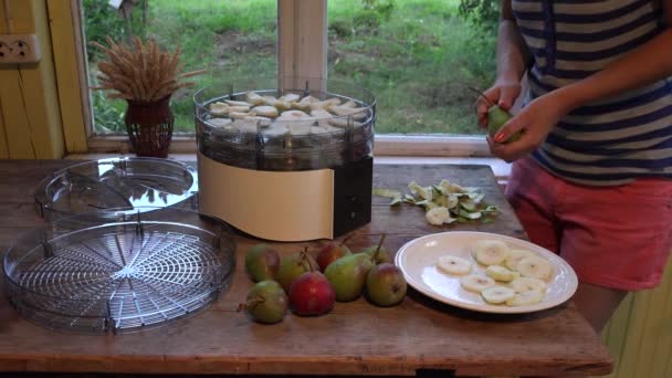 Kvinnlig bonde händer peeling mogna päron med kniv. Närbild. 4k — Stockvideo