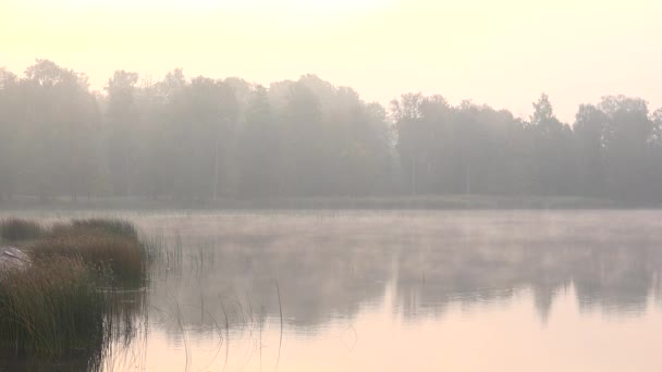 Niebla temprano en la mañana en el lago en la región del país. 4K — Vídeo de stock