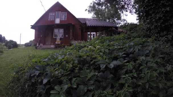 Casa de campo aldea rural y gotas de lluvia caen sobre planta enredadera. 4K — Vídeos de Stock