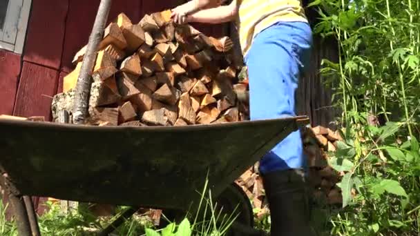 Les mains de jardinier masculin avec des gants déchargent du bois de chauffage coupé du chariot. 4K — Video