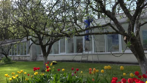 Trabajador masculino lavando invernadero en hermoso jardín . — Vídeo de stock