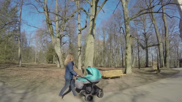 Mutter mit Kinderwagen im Park. Mütterbetreuung, Kinderkonzept. 4k — Stockvideo