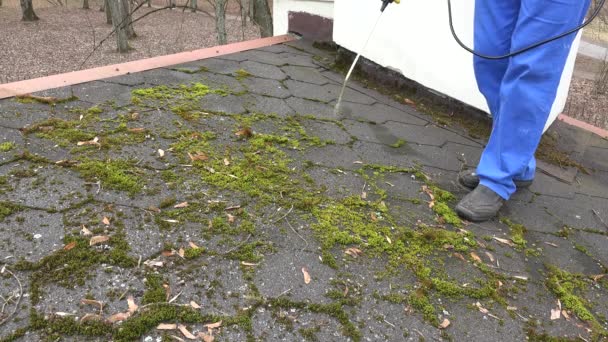 Worker man spray moss with chemicals on roof tiling — Αρχείο Βίντεο