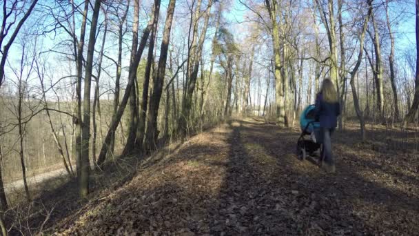 Mother push baby carriage in spring forest path. 4K — Stock Video