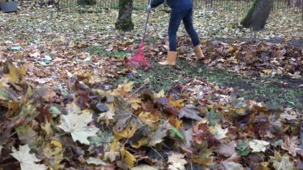 Montón de hojas borrosas y piernas de mujer en botas de goma rastrillando hojas con rastrillo. 4K — Vídeo de stock