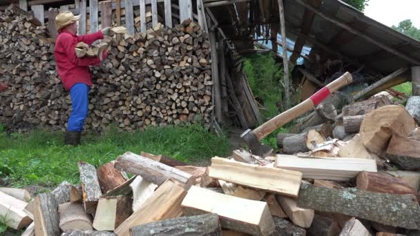 Plantsoenwerkster man man stapelen gehakte brandhout in de buurt van de schuur. 4k — Stockvideo