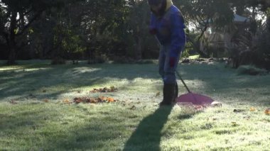 Bahçıvan sıcak giysiler komisyon yaprakları sonbaharda buzlu Bahçe çim üzerinde. 4k