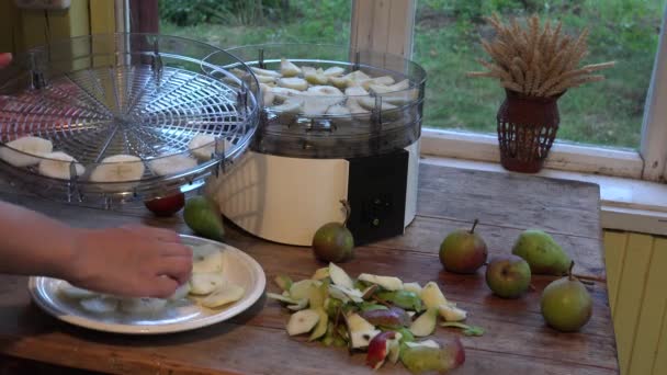 Manos femeninas poner las peras en rodajas en plato de la máquina secadora de frutas. Primer plano. 4K — Vídeos de Stock