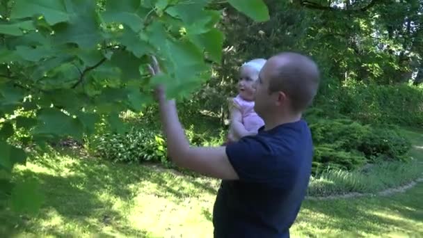 Молодой папочка держит любопытную дочку возле тюльпанового дерева в парке. 4K — стоковое видео