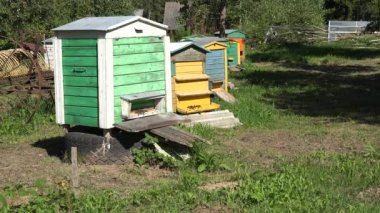 Arı kovanı Bahçe. Renkli arı kovanlarını uçan arılar. 4k