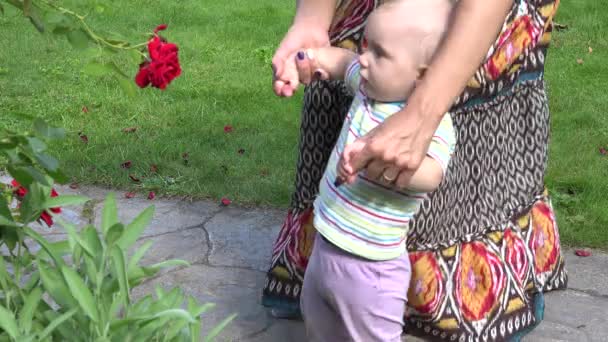 Niña jugar con flor de rosa junto con el jardín de la madre. 4K — Vídeos de Stock