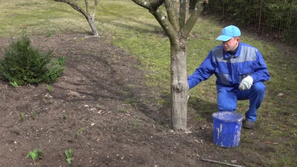 Садовий фахівець чоловік побілка дерев навесні . — стокове відео