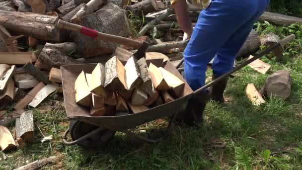 Homem aldeão carga madeira cortada lenha e machado para carrinho enferrujado. 4K — Vídeo de Stock