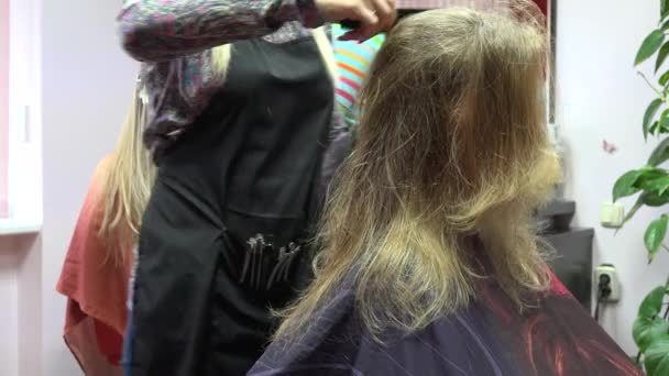 若い客の女性は、美容室美容院で新しいヘアスタイルを作る。4 k — ストック動画