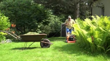 adam sallamak çim dışarı düzeltici eski kırsal el arabası içinde. 4k