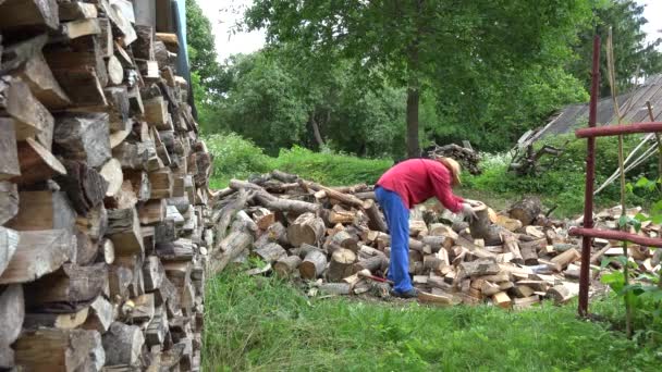 Giardiniere uomo con cappello preparare combustibile legno naturale e case rurali. 4K — Video Stock