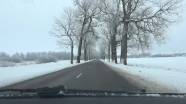 Boş yol sokak kışın araç. Frost ve kar kaplı ağaçlar. 4k