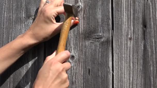 Decorator woman nail hammer nail in wooden wall and hand horse shoe on it. Closeup shot. 4K — Stock Video