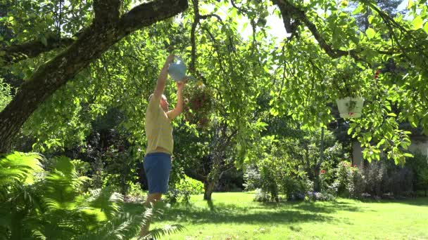 Gärtner Mann mit Gießkanne gießt Blumentöpfe, die an Obstbäumen im Sommergarten hängen. 4k — Stockvideo