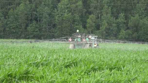 Granja vehículo pulverizar fertilizar campo de maíz con químicos cerca de la carretera. 4K — Vídeo de stock