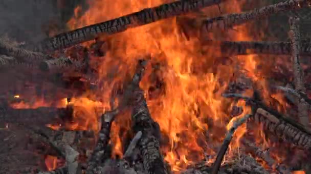 Cierre de llamas de fuego de leña y brasas calientes. 4K — Vídeo de stock