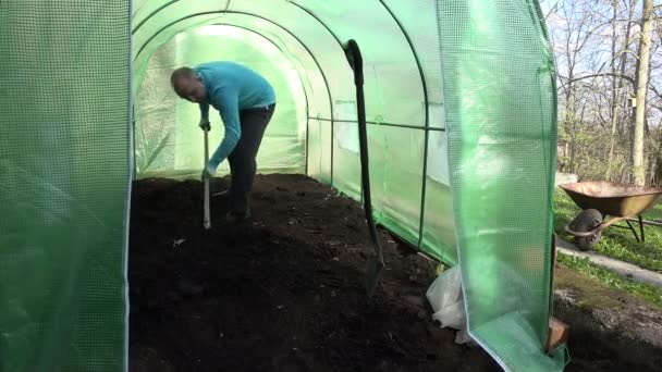 Jardinero hombre nivel suelo con rastrillo herramienta en invernadero. 4K — Vídeos de Stock