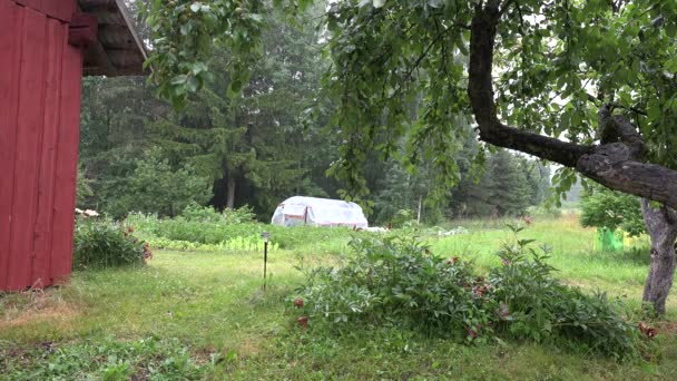Landelijke houten huis muur appelboom en broeikasgassen in regenachtige tuin. 4k — Stockvideo