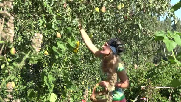 女性は、エコガーデンの果実を収集します。夏の庭の収穫。4 k — ストック動画