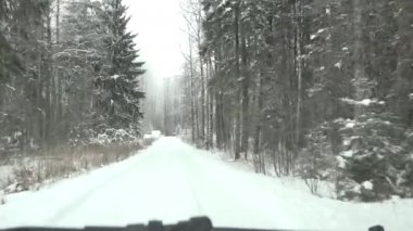 Karda yol kış orman kaplı. Açık araba penceresi görünümü.
