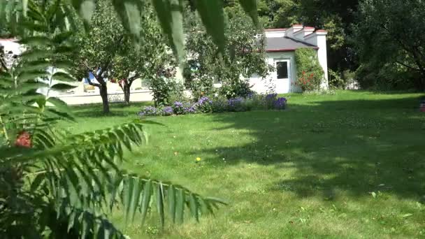 Uomo lavorare con tosaerba in giardino fiorito in estate. 4K — Video Stock