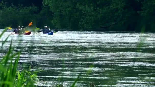 Personer i par kanot aktiv återskapa på vilda vatten floden i naturen. — Stockvideo