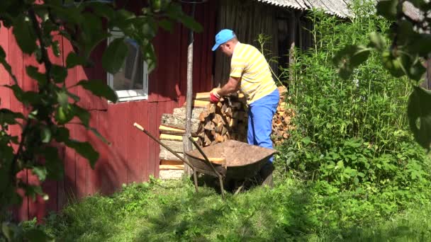 Садовник разгружает дрова из ржавой тачки. 4K — стоковое видео