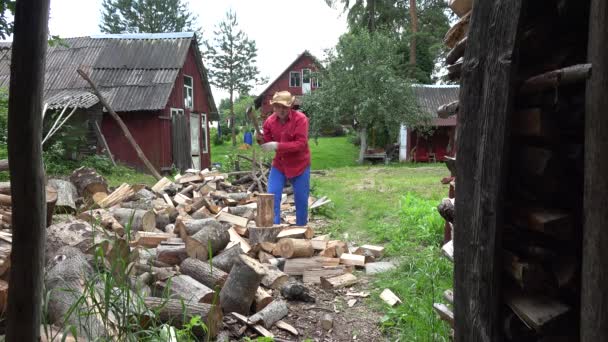 Κηπουρός τύπος προετοιμασία των φυσικών καυσίμων ξύλου και αγροτικών σπιτιών. 4k — Αρχείο Βίντεο