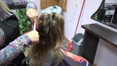 Kuaför salonunda kadın müşteriye yeni bir saç kesimi vermek. El. 4k