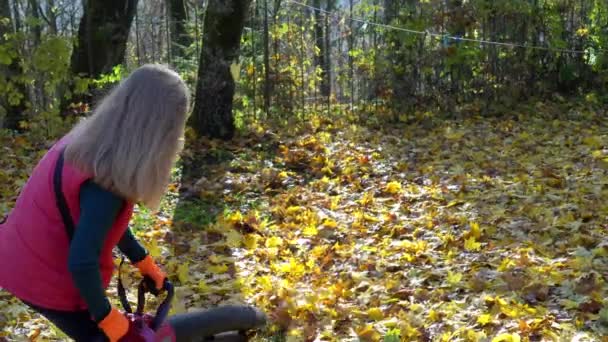 Linda chica adulta soplando hojas de jardín con máquina sopladora. Día soleado de otoño — Vídeos de Stock