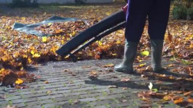 Unrecognized gardener blowing leaves from footpath or road with leaf blower
