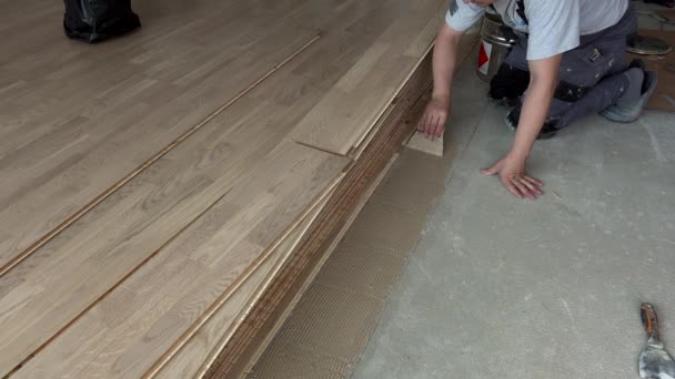 Apply glue on floor. Oak floorboard installation in room — Wideo stockowe