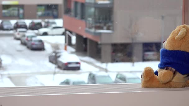 Urso de pelúcia macio sentar-se no peitoril da janela com um lenço azul. 4K — Vídeo de Stock